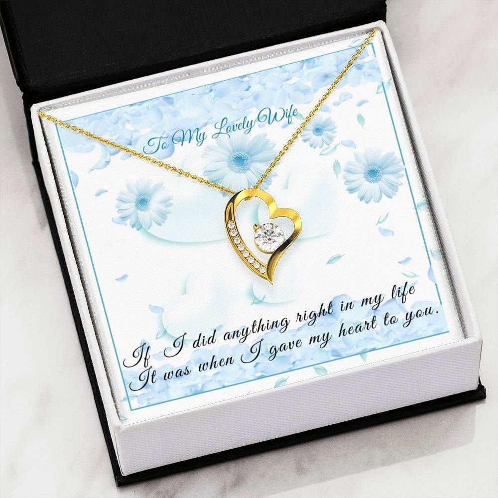 I Gave My Heart To You Forever Love Necklace For Wife