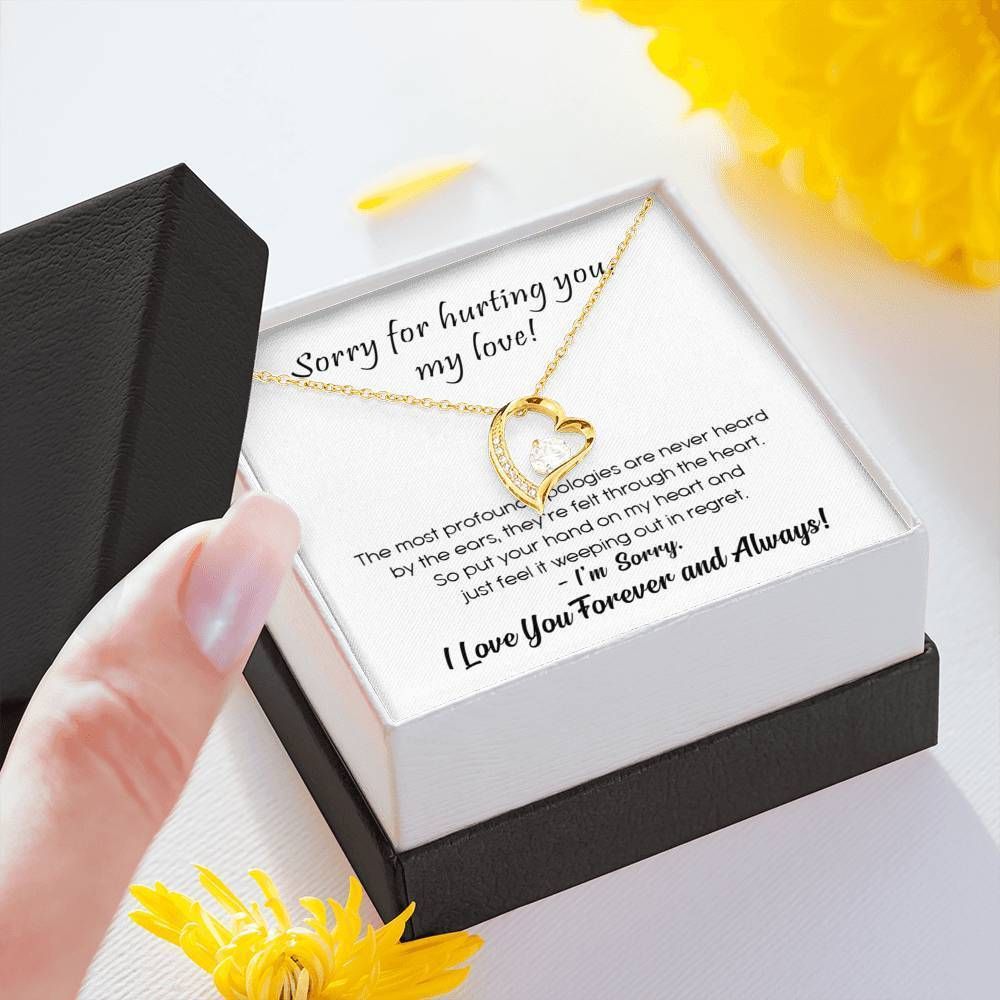 Sorry For Hurting You Forever Love Necklace For Wife