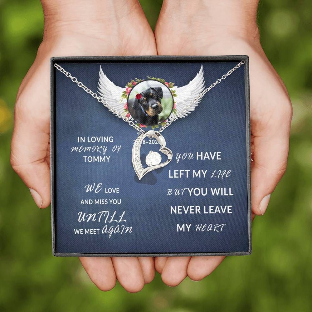 In Loving Memory Of Dog Forever Love Necklace For Dog Lover