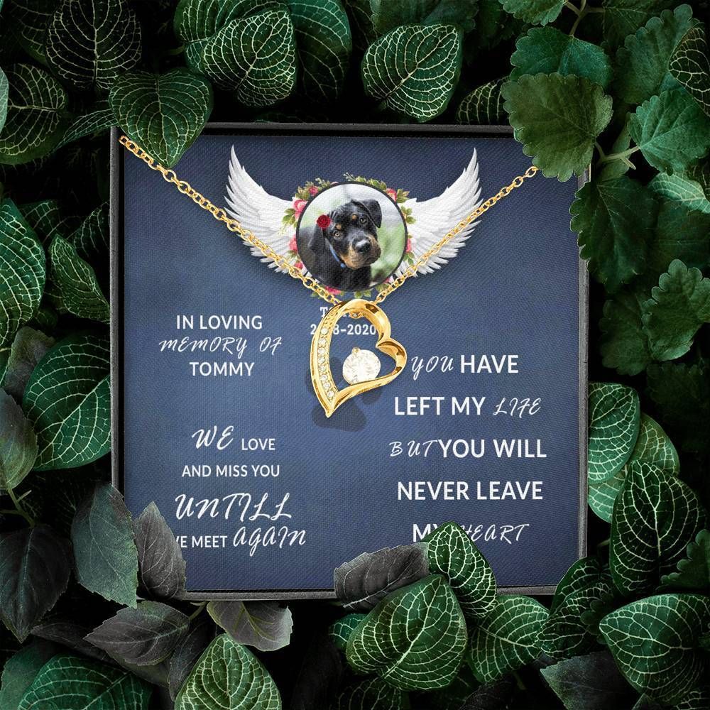 In Loving Memory Of Dog Forever Love Necklace For Dog Lover