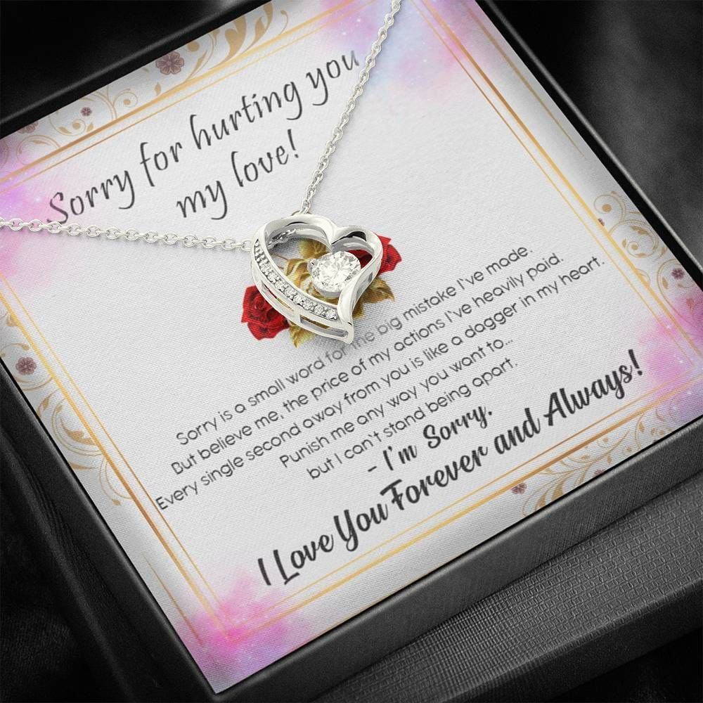 Sorry For Hurting You My Love Forever Love Necklace Gift For Her