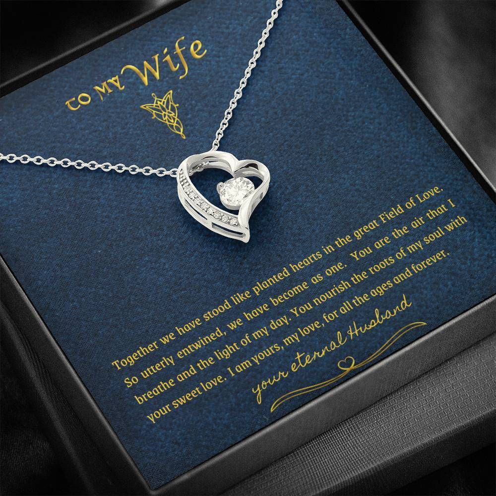 Love You For All The Ages Forever Love Necklace With Message Card Gift For Wife