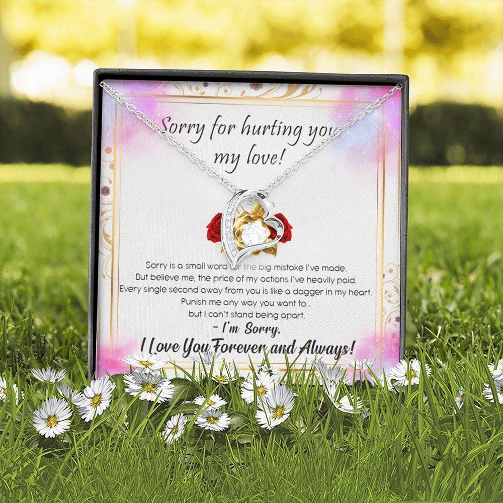 Sorry For Hurting You Forever Love Necklace Gift For Honey