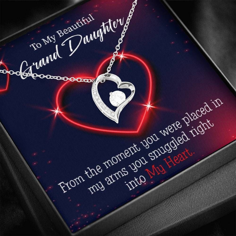 You Were Placed In My Arms Gift For Granddaughter 18K Gold Forever Love Necklace