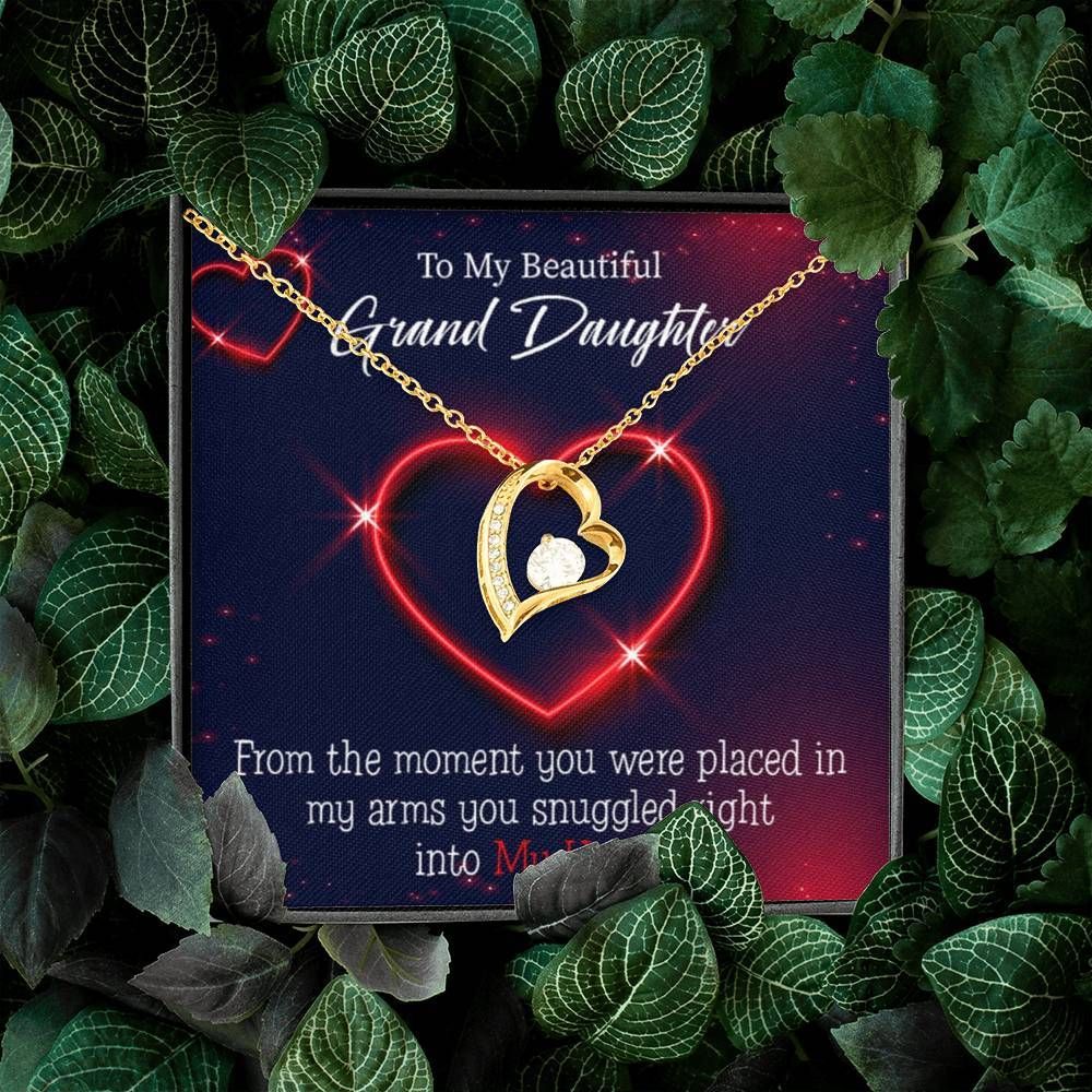 You Were Placed In My Arms Gift For Granddaughter 18K Gold Forever Love Necklace