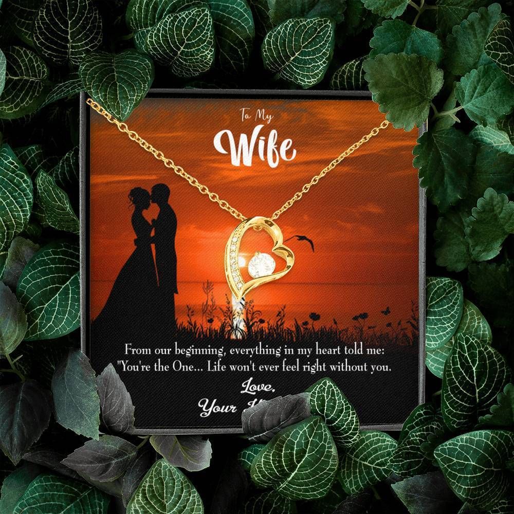 Gift For Wife You Are The One Forever Love Necklace