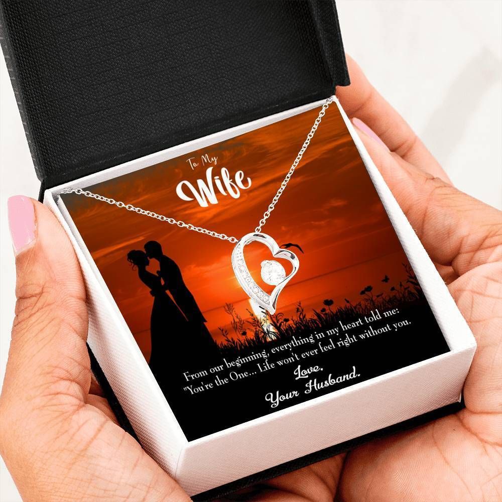 Gift For Wife You Are The One Forever Love Necklace