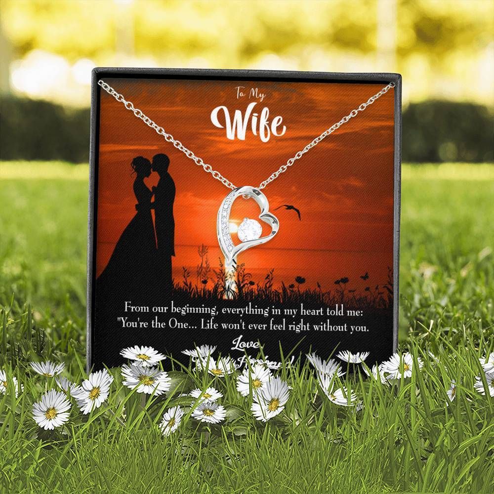 Gift For Wife You Are The One Forever Love Necklace