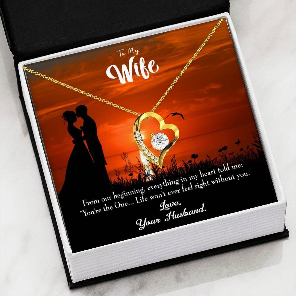 Gift For Wife You Are The One Forever Love Necklace