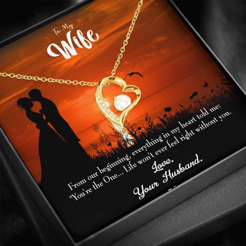 Gift For Wife You Are The One Forever Love Necklace