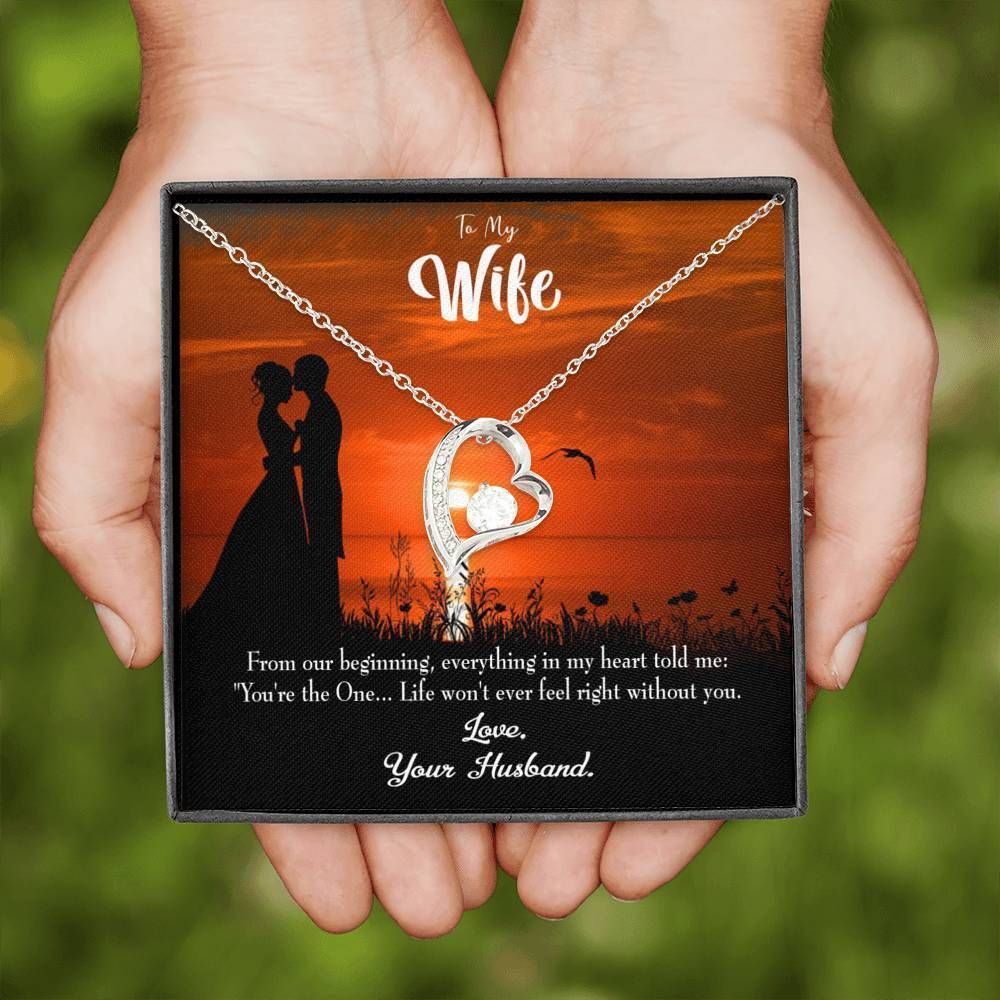 Gift For Wife You Are The One Forever Love Necklace