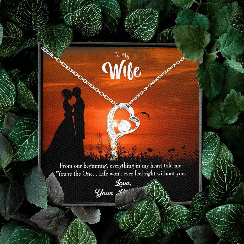 Gift For Wife You Are The One Forever Love Necklace