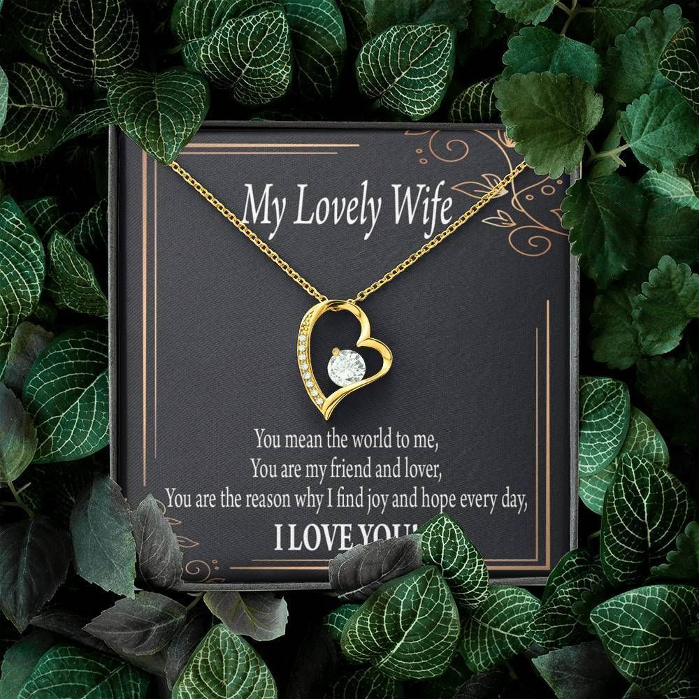 Gift For Wife You Mean The World To Me Forever Love Necklace