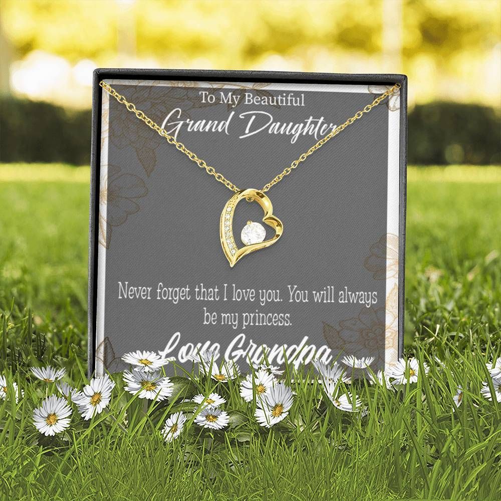 Always Be My Princess Forever Love Necklace Grandpa Gift For Granddaughter Forever Love Necklace Forever Love Necklace