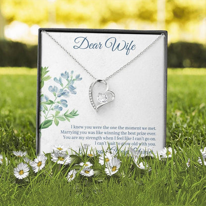 Amazing Gift For Wife From Husband I Love You Always And Forever Forever Love Necklace