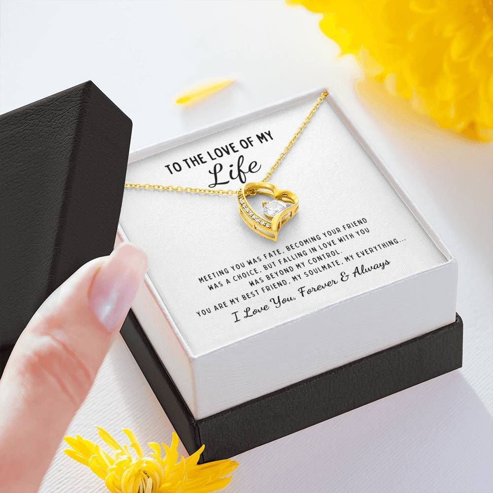 Birthday Gift For Wife The Love Of My Life Forever Love Necklace Meeting You Was Fate